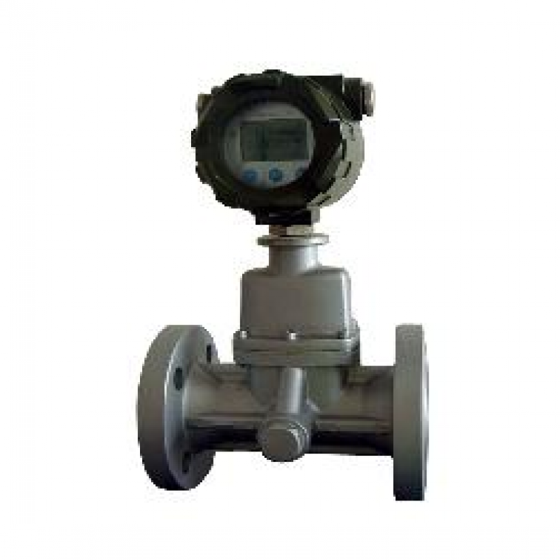 旋進(jìn)旋渦流量計(jì)